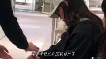 国产福利h视频在线观看,在线观看盛宴揭秘