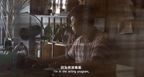 国产酒店拍摄A片视频,A片视频拍摄背后的真相与争议