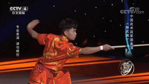 国产武术冠军视频,国产武术冠军风采展示