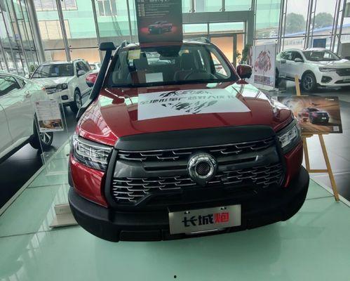 猛禽国产版试驾视频,翱翔天际的国产力量