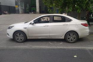 国产白菜价家轿视频