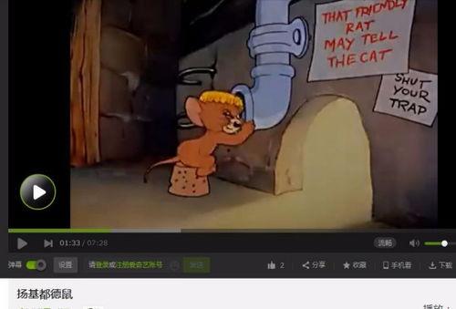 老鼠捉猫视频动画片国产